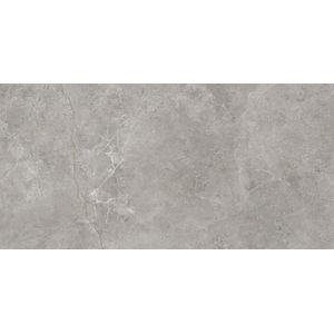 Fiori Di Bosco Polished 59,6x120