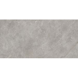 Fiori Di Bosco Polished 59,6x120