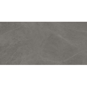 Liem Grey Nature 59,6x120