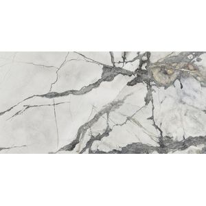 Invisible White Nature 59,6x120
