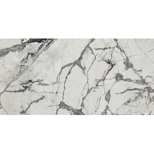Invisible White Polished 59,6x120