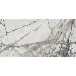 Invisible White Polished 59,6x120