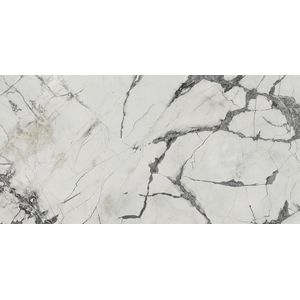 Invisible White Polished 59,6x120