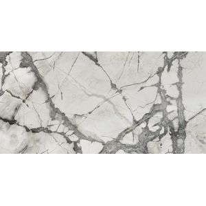 Invisible White Polished 59,6x120