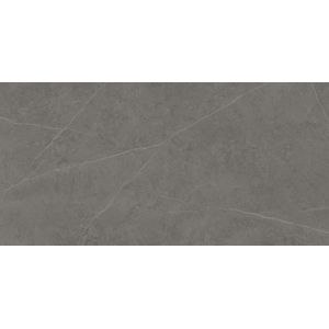 Liem Grey Polished 59,6x120