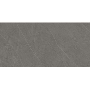 Liem Grey Polished 59,6x120