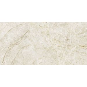 Taj Mahal Polished 59,6x120