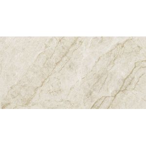 Taj Mahal Polished 59,6x120