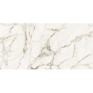 Calacatta Gold Silk 59,6x120