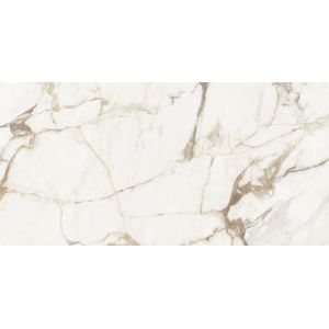 Calacatta Gold Silk 59,6x120