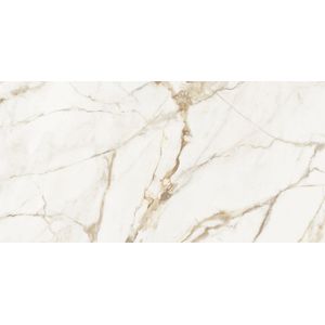 Calacatta Gold Silk 59,6x120