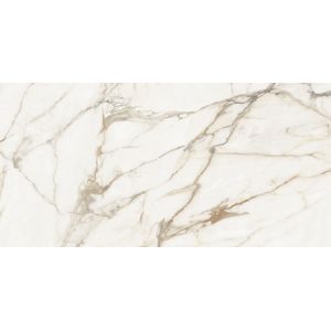 Calacatta Gold Silk 59,6x120