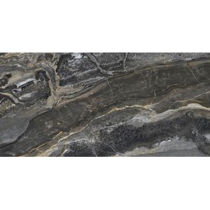 Orobico Dark Polished 59,6x120
