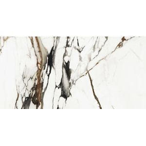 Paonazzo Biondo Silk 59,6x120