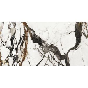 Paonazzo Biondo Silk 59,6x120