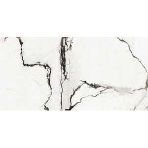 Paonazzo Biondo Silk 59,6x120