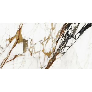 Paonazzo Biondo Silk 59,6x120