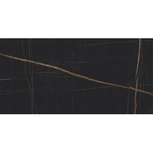 Nylo Noir Polished 59,6x120