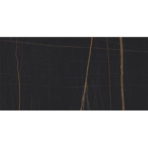 Nylo Noir Polished 59,6x120
