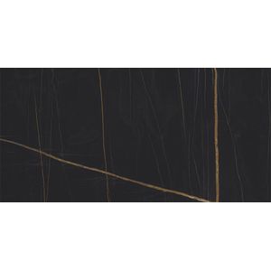 Nylo Noir Polished 59,6x120