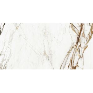 Paonazzo Biondo Polished 59,6x120