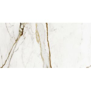 Paonazzo Biondo Polished 59,6x120