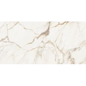 Calacatta Gold Polished 59,6x120