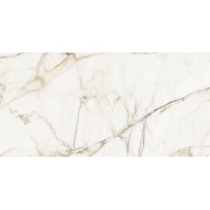 Calacatta Gold Polished 59,6x120