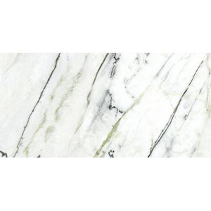 Calacatta Green Polished 59,6x120