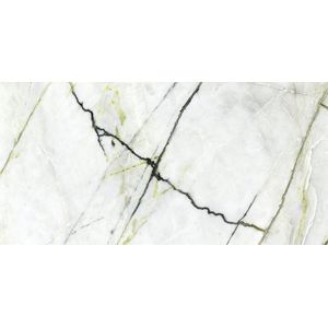 Calacatta Green Polished 59,6x120