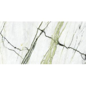 Calacatta Green Polished 59,6x120