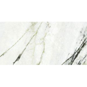 Calacatta Green Polished 59,6x120