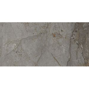 Astana Grey Nature 59,6x120