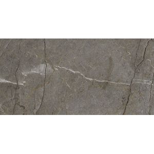Astana Grey Nature 59,6x120