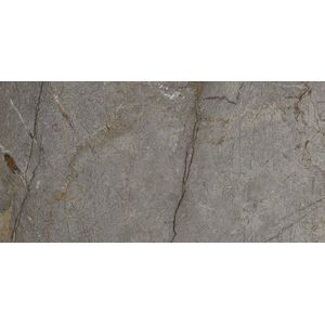 Astana Grey Nature 59,6x120