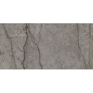 Astana Grey Nature 59,6x120