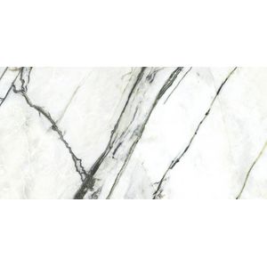 Calacatta Green Silk 59,6x120