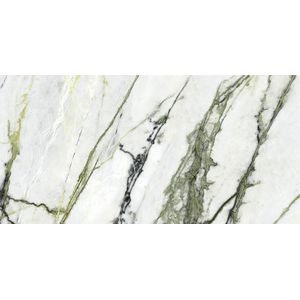 Calacatta Green Silk 59,6x120