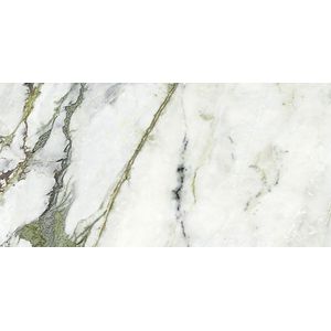 Calacatta Green Silk 59,6x120