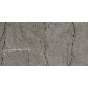 Astana Grey Polished 59,6x120