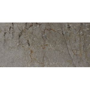 Astana Grey Polished 59,6x120