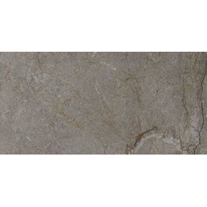Astana Grey Polished 59,6x120