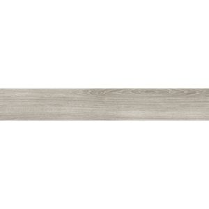 Minnesota Ash 23x150