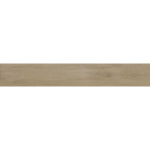 Tanzania Nut Ant. 23x150