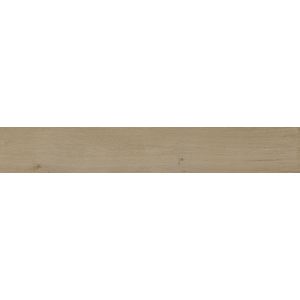 Tanzania Nut Ant. 23x150