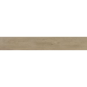 Tanzania Nut Ant. 23x150