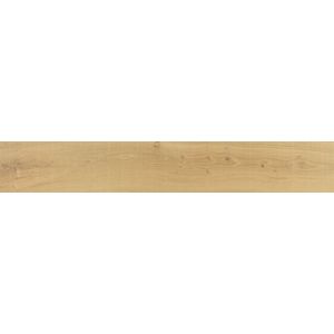 Vancouver Honey Ant. 23x150