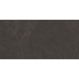 Liem Dark Polished 160x320