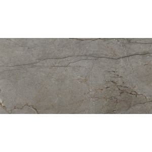 Astana Grey Nature 160x320