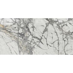 Invisible White Nature 160x320